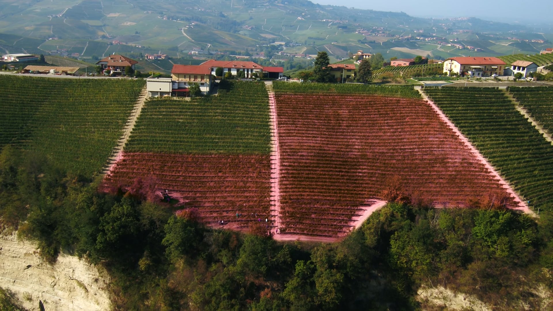 Cru Rocche di Castiglione MGA