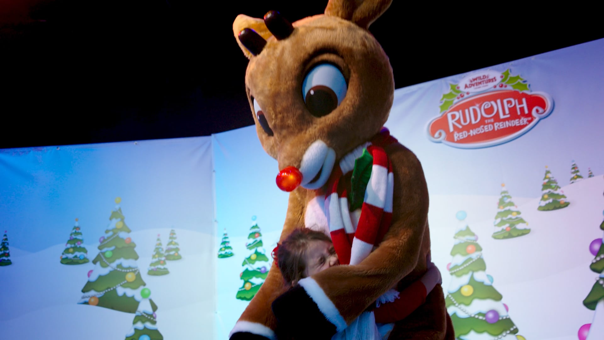 Wild_Christmas_30_01