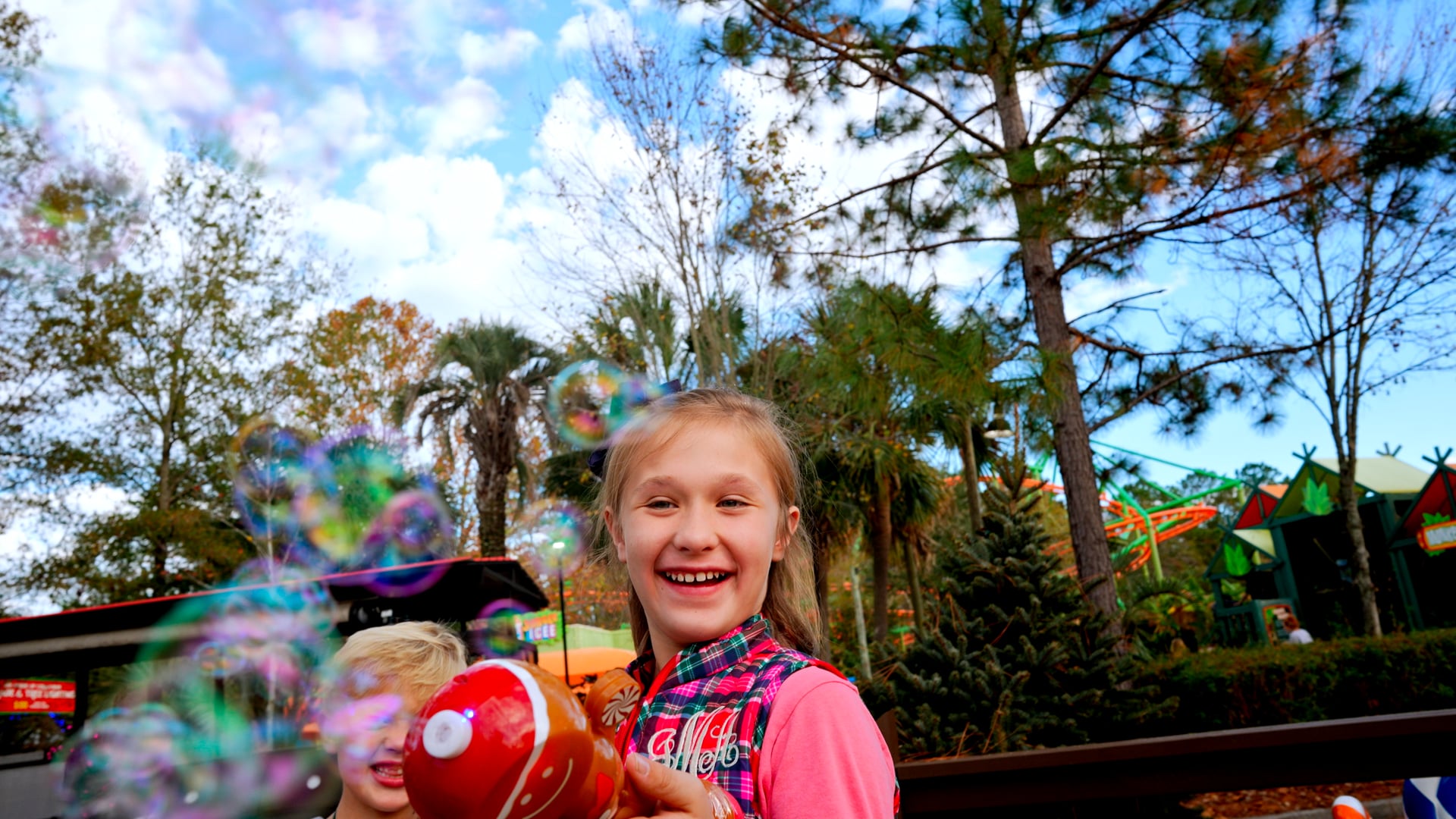 Wild_Christmas__30_03