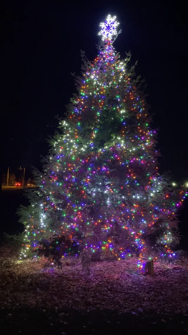 18+ Truckee Tree Lighting 2023 AlbadrEday