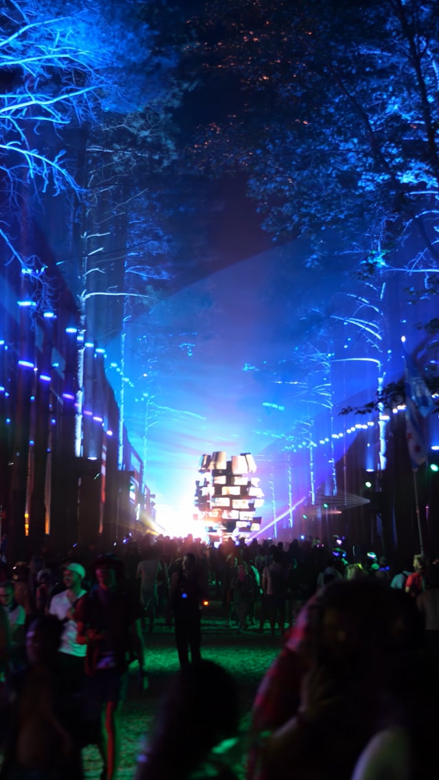 Electric Forest - Art at Night