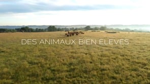 DES ANIMAUX BIEN ÉLEVÉS