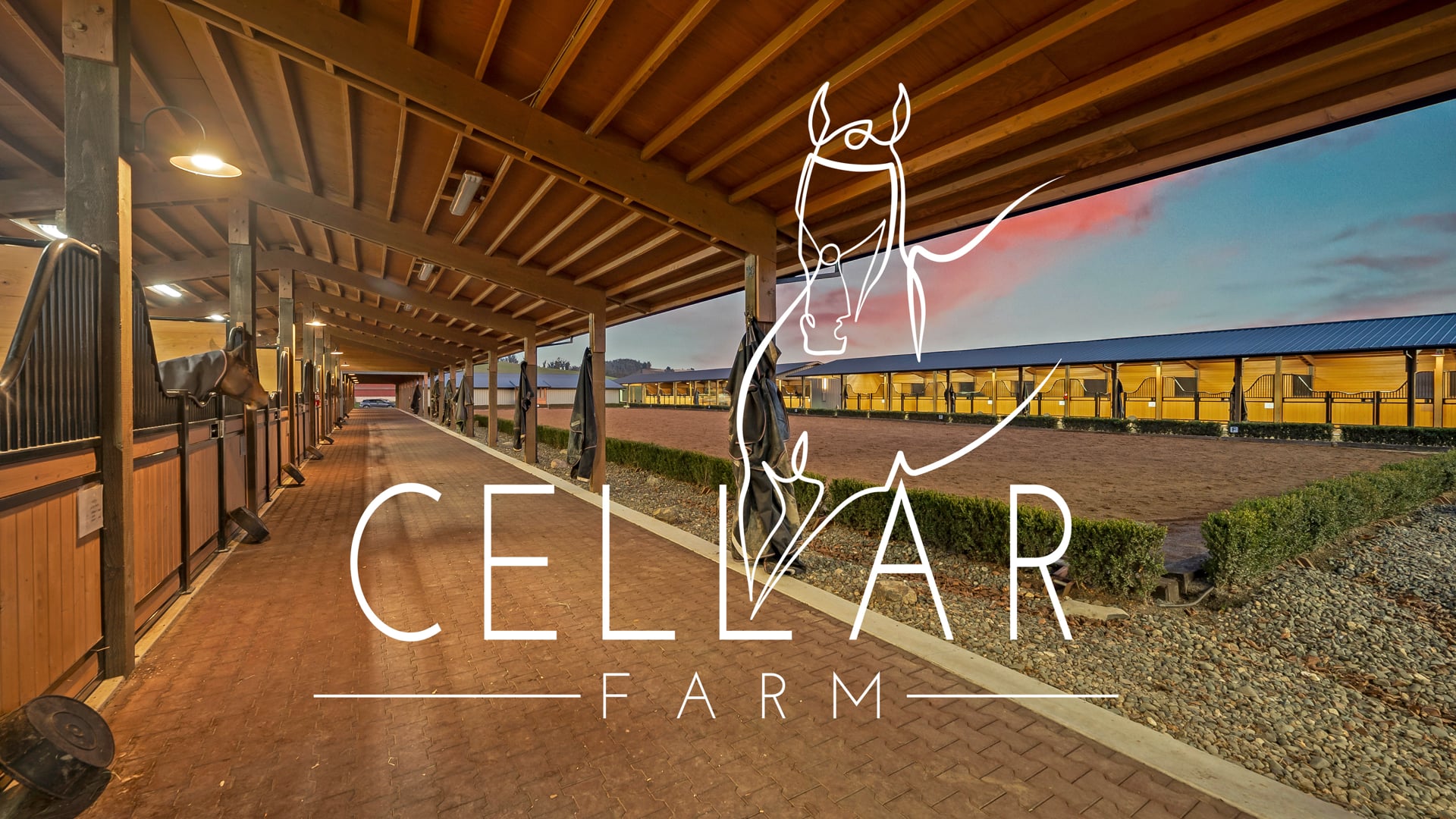 Cellar Farm Promo