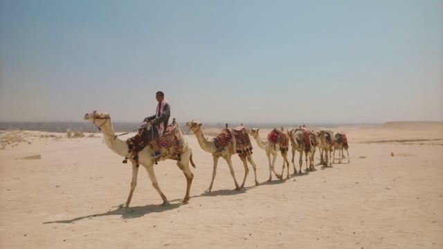 A thumbnail for the film 'Karol G ft. Ovy on the Drums - Cairo' by  hugo carlier