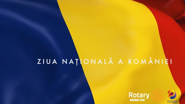 VINTAGE PORCELAIN PLATE ROTARY CLUB INTERNATIONAL ROMANIA DISTRICT 2241 