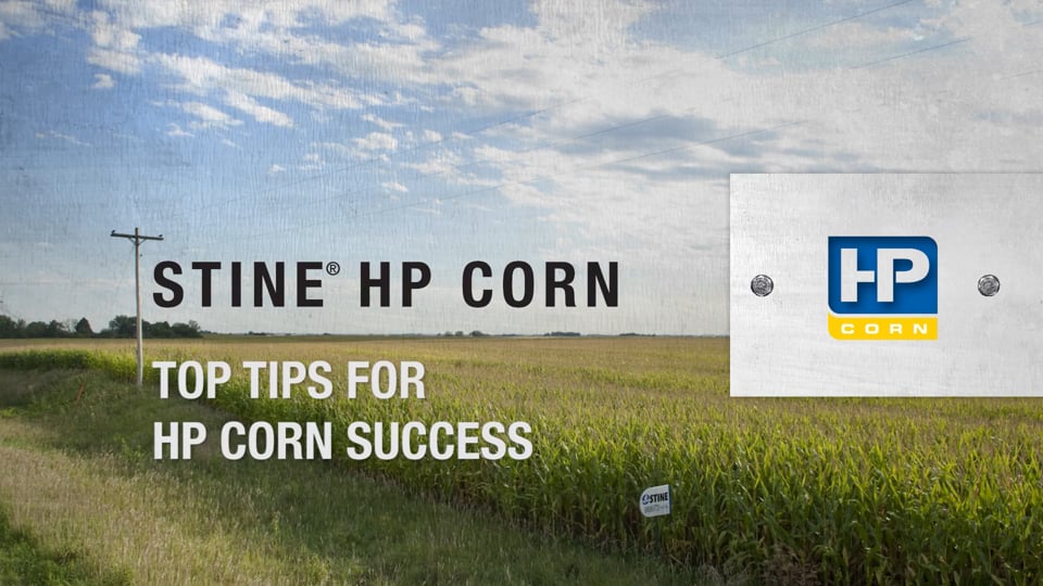 Stine HP Corn: Harry Stine on Lessons from 2014
