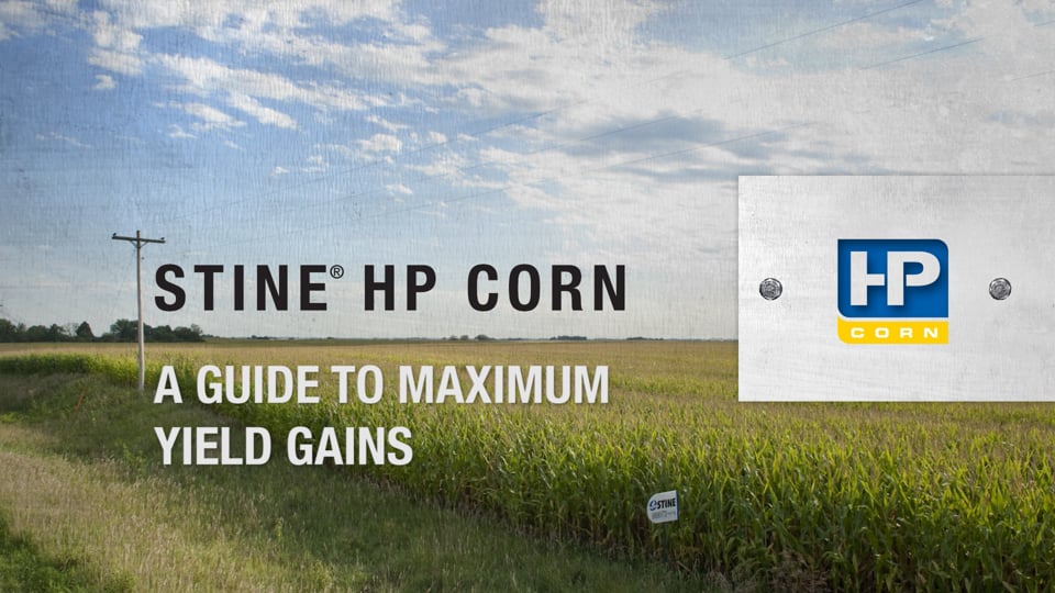 Stine HP Corn: A Guide to Maximum Yield Gains