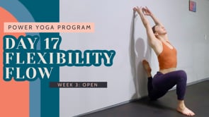 Day 17: Flexibility Flow