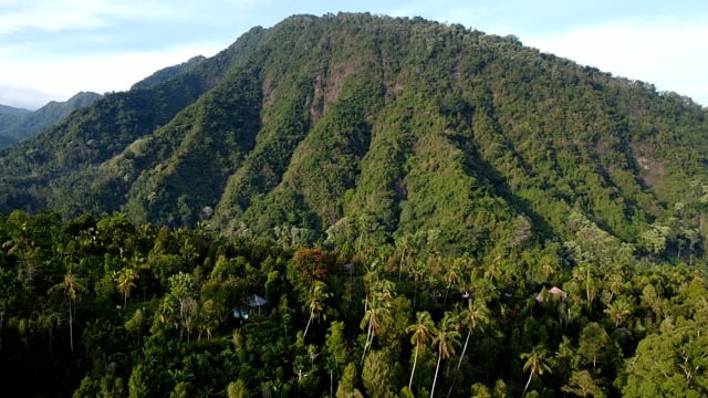 Volcano, Mountain, Jungle. Free Stock Video - Pixabay