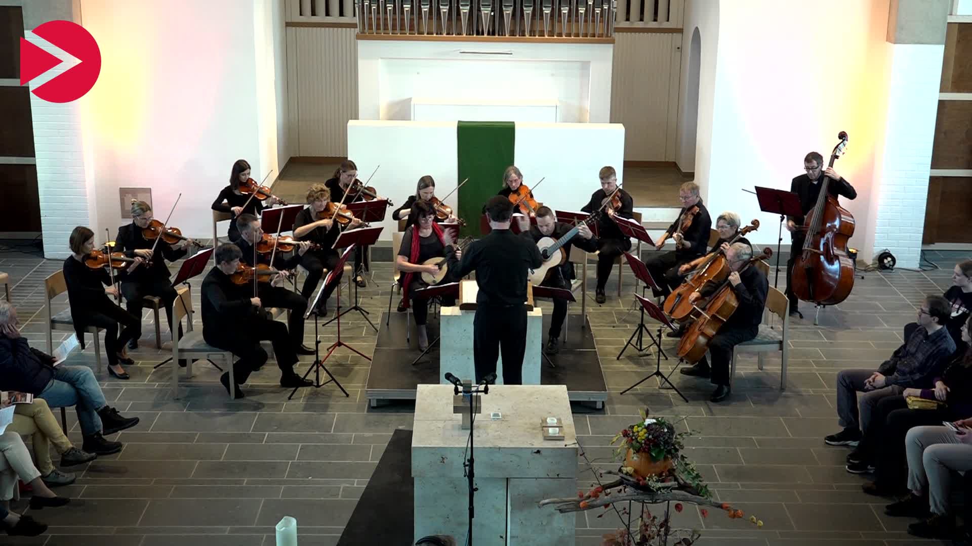 Video Vorschaubild Gezupft und Gestrichen - Konzert des Kammerorchesters concertino ducale
