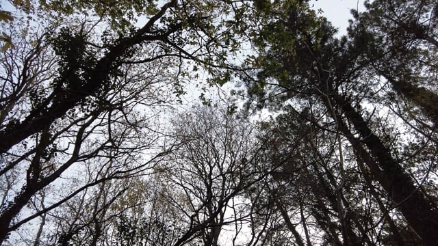 Documental Camino de Santiago - Fundación CB