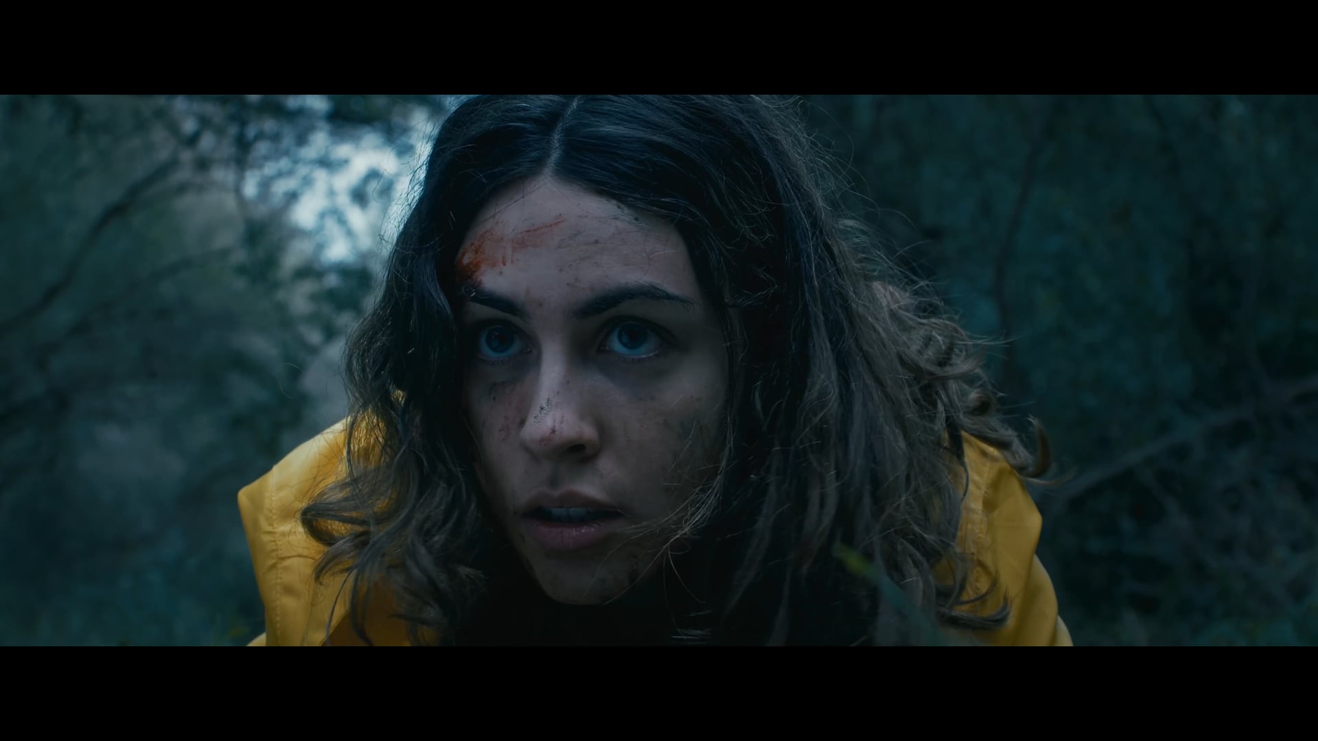 Trailer La víctima