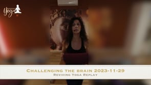 Challenging the brain 2023-11-29