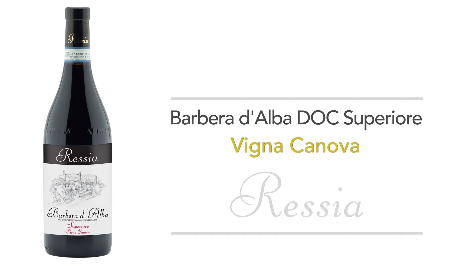 Barbera d'Alba Doc Superiore Vigna Canova