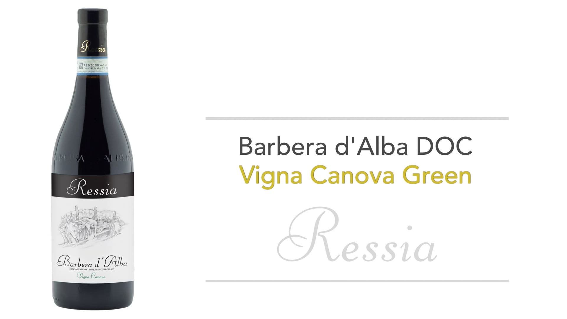 Barbera d'Alba Doc Vigna Canova Green