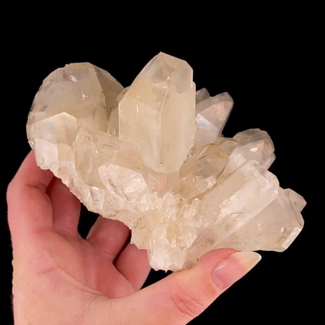 Colemanite (excellent large crystals)