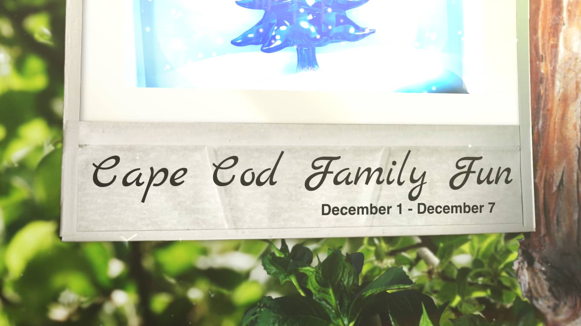 family-fun-for-the-week-of-december-1-2023-on-vimeo