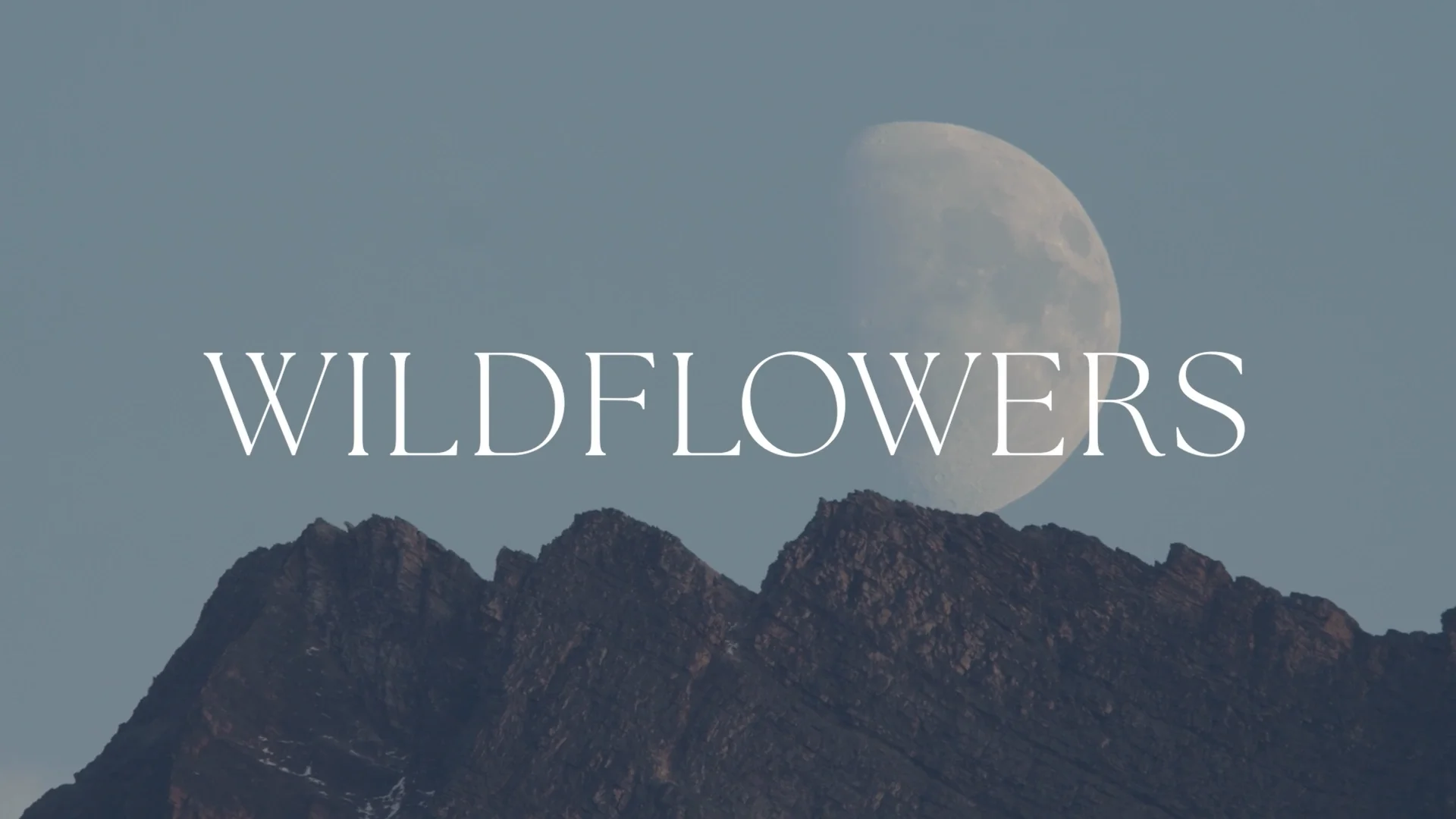 Wildflowers Teaser on Vimeo