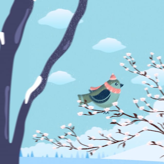 créer votre video de présentation animée professionelle en Motion Design
