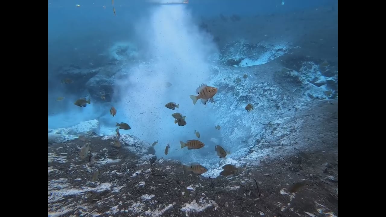 Free the Ocklawaha River! Remove the Dam!