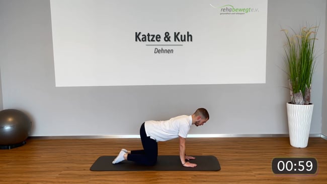 Dehnübungen - Katze & Kuh