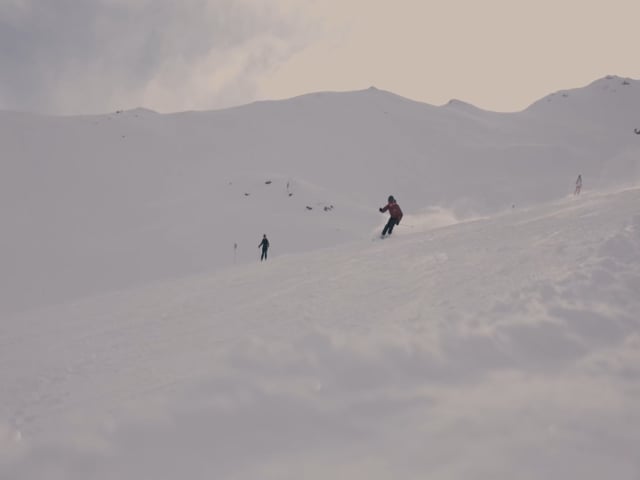 Leki Stella S