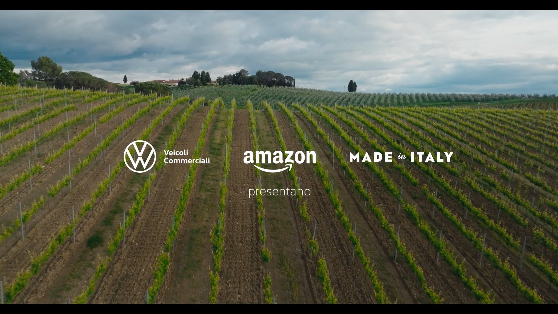 Volkswagen Amazon - charge your brand