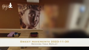 Sweet movements 2023-11-30