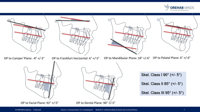 OHI-S Dental Portal