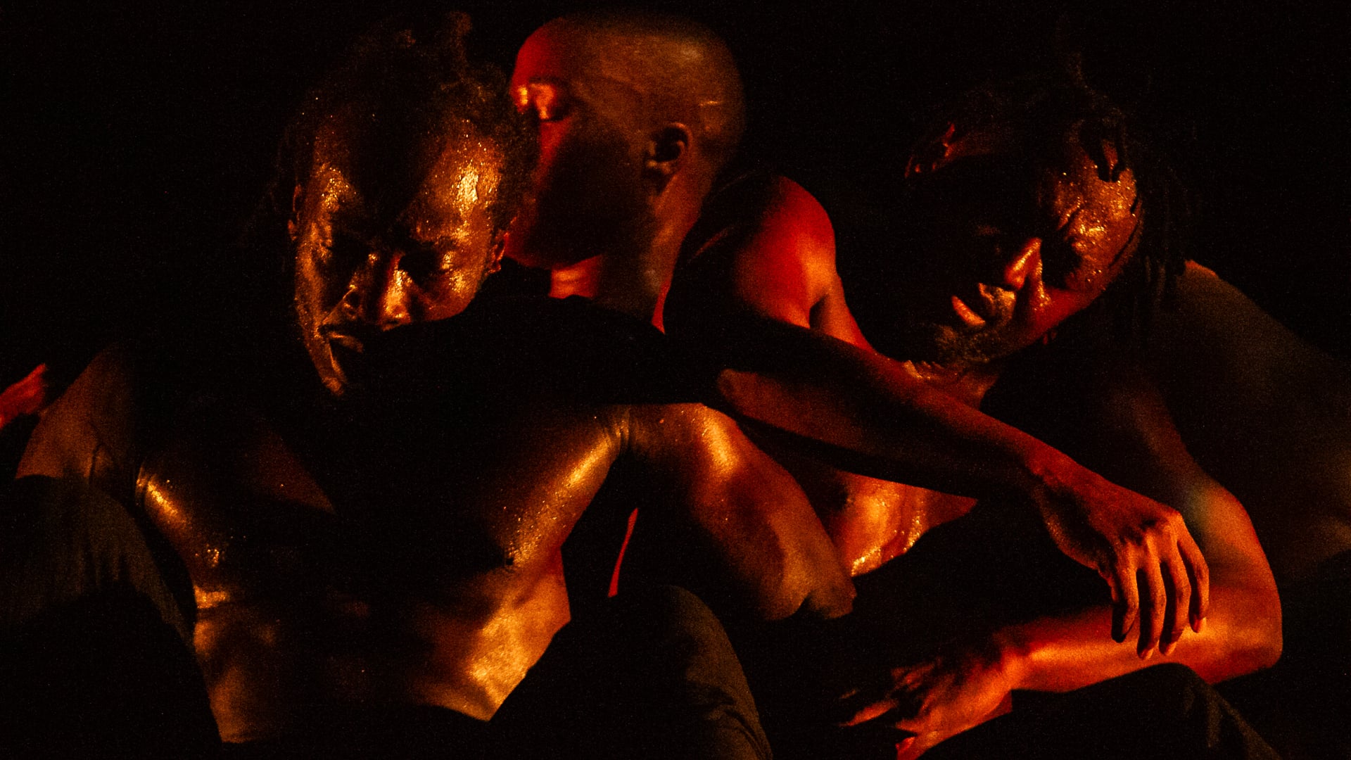 'Cane Warriors'