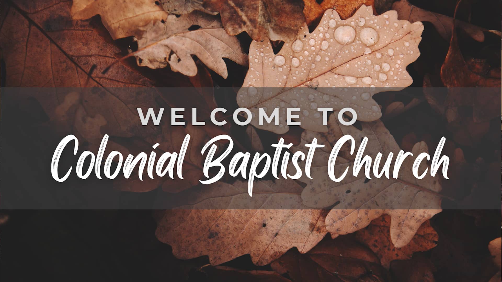 12-03-2023 Pastor Dan Seely - Luke 1,5-25 (Communion) on Vimeo