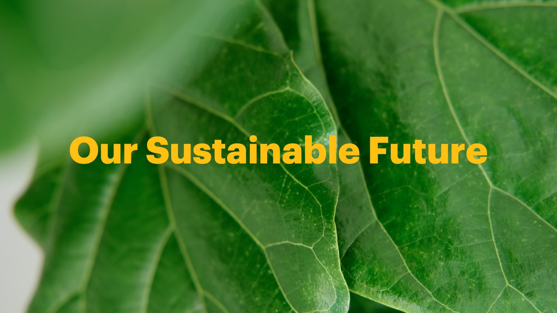 Our Sustainable Future