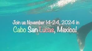 Mermaids in Mexico Certification Retreat 