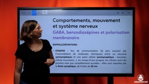 video : gaba-benzodiazepines-et-polarisation-membranaire-3976