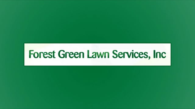 Make Your Lawn Stand Out With Our Professional Services