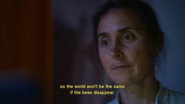47 Million Bees