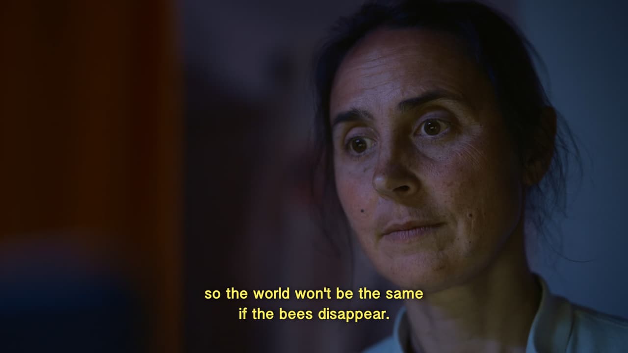 47 Million Bees