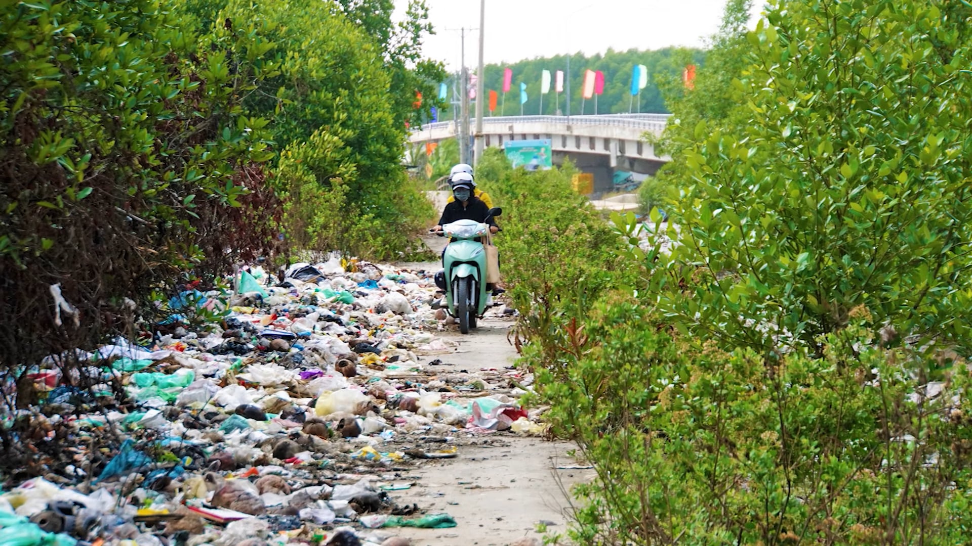 [documentary] - WWF - Tan An, Long An campain 2021