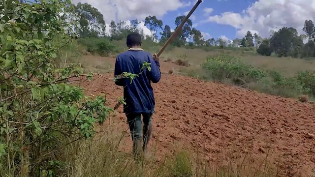 Pour deux sac du riz - Vidéo ePOP