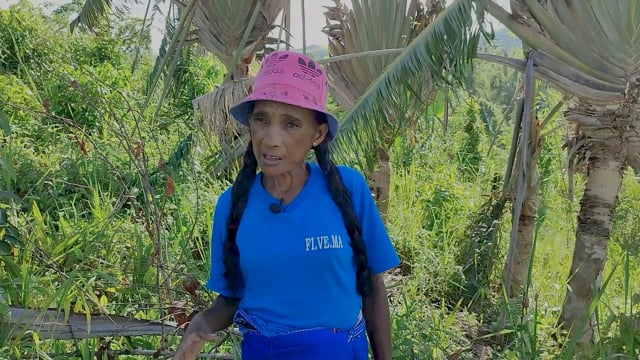 Une maison sans ravinala - Vidéo ePOP