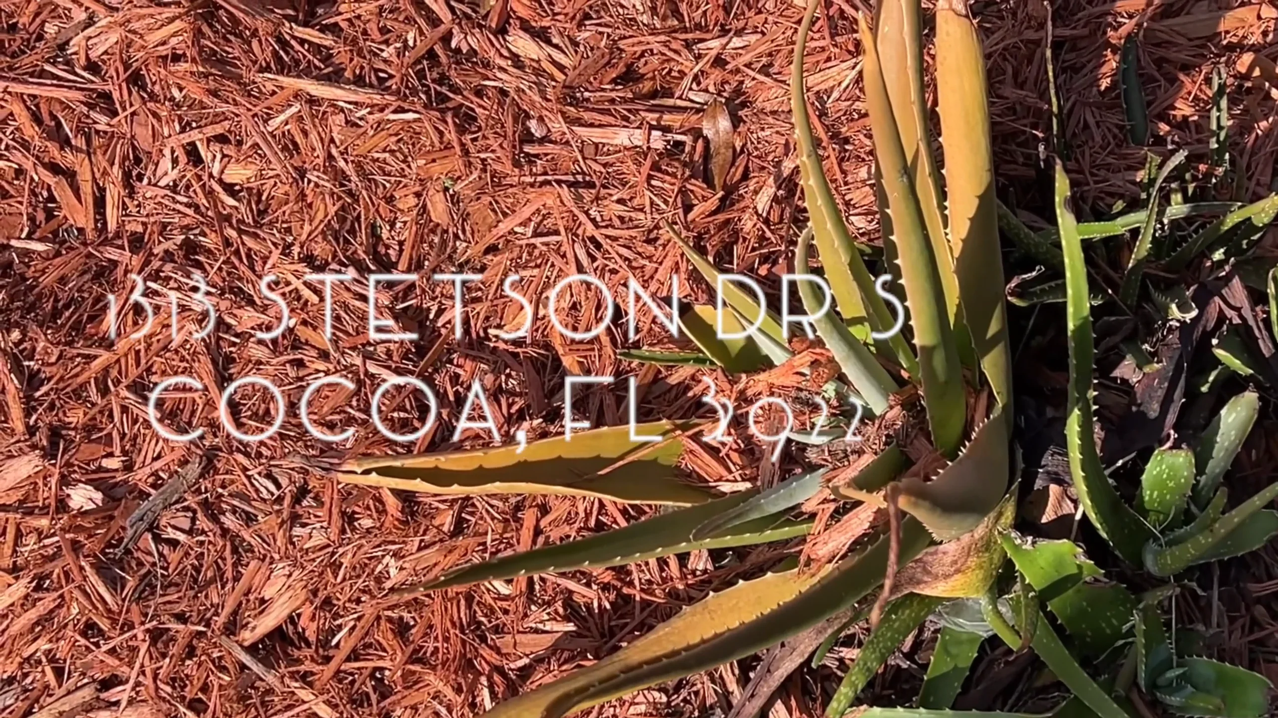 1313 Stetson Dr S Cocoa, FL 32922 on Vimeo