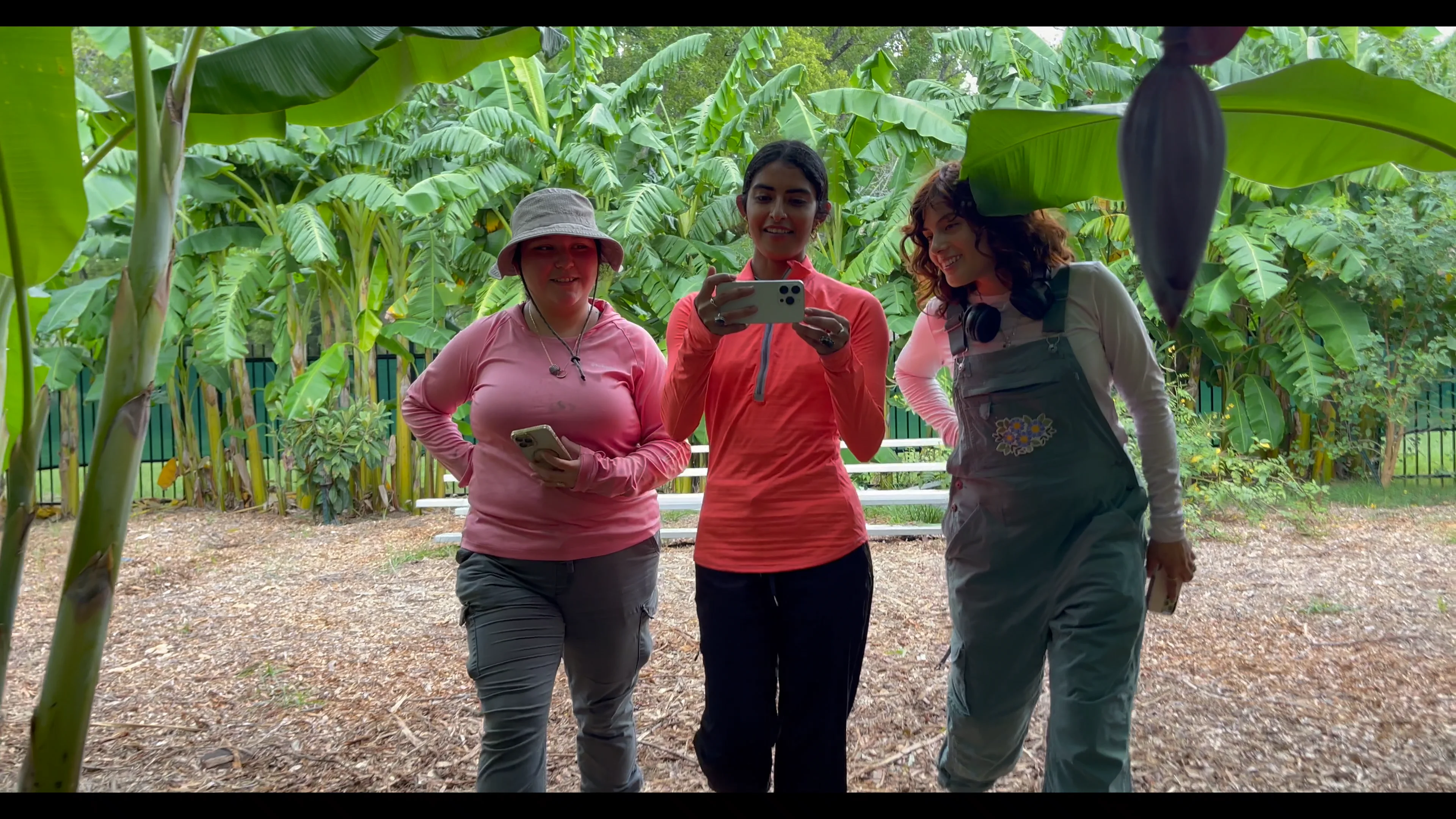 iNaturalist on Vimeo