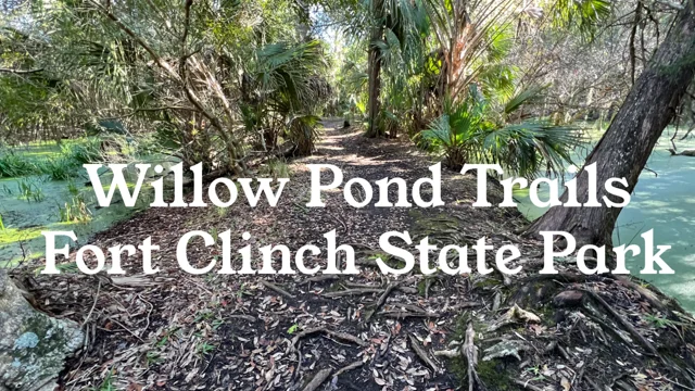 Willow Pond Nature Trail, Florida - 145 Reviews, Map