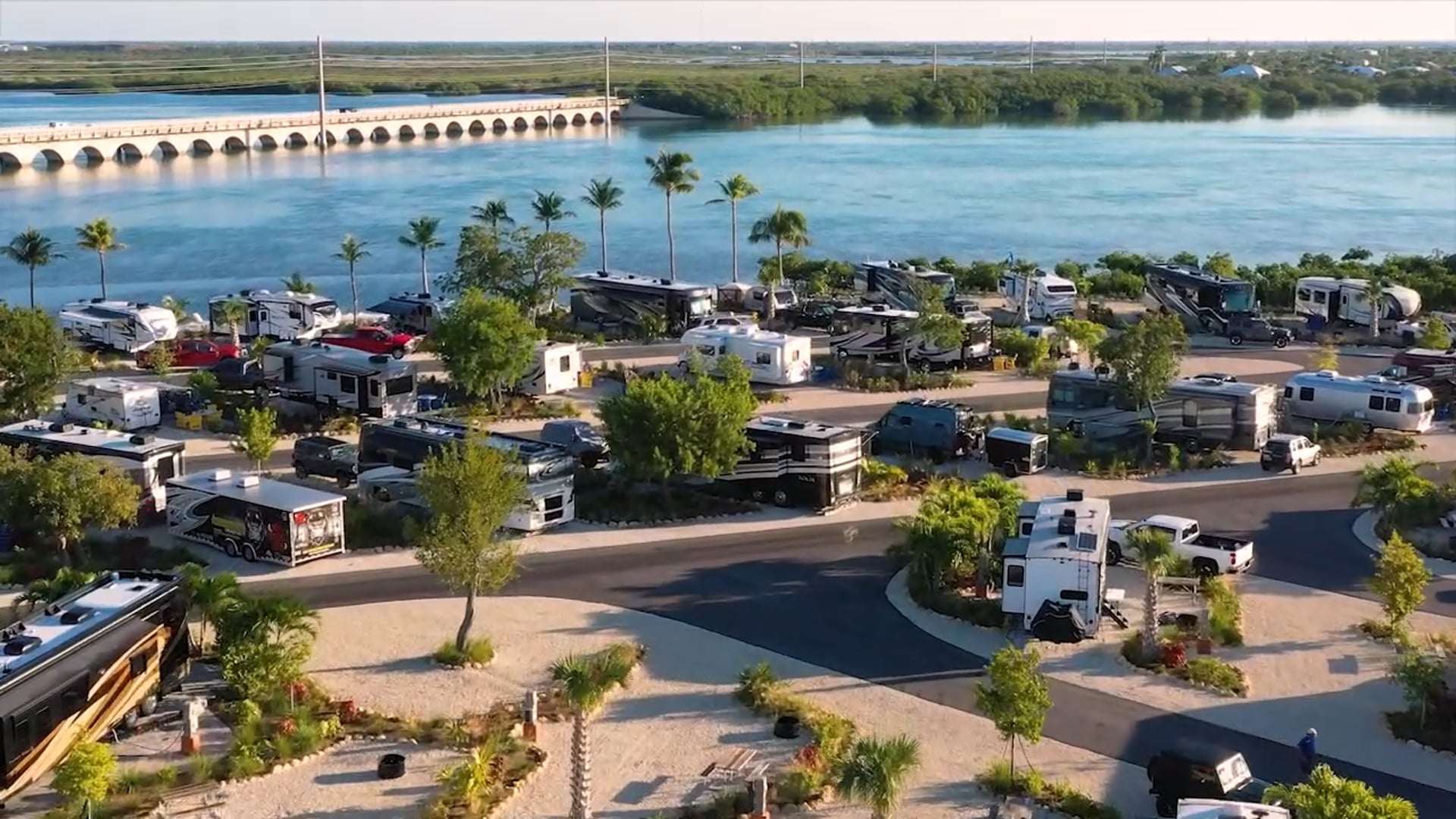 Blue Runner - Picture of Key West Fishing Connection - Tripadvisor