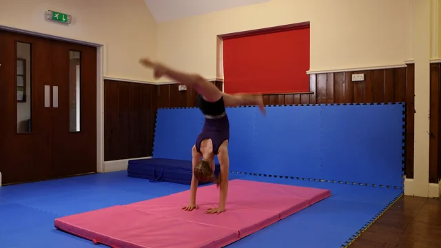 Foldable Gymnastics Mat & carry handles 8ft x 4ft x 50mm Pink or Blue