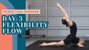 Day 3: Flexibility Flow