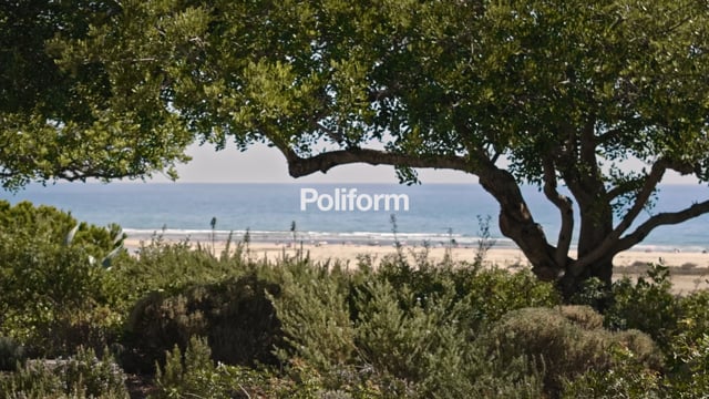 Poliform | Outdoor collection - Mad out collection