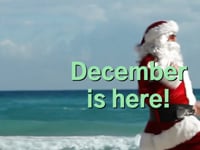 December is here!