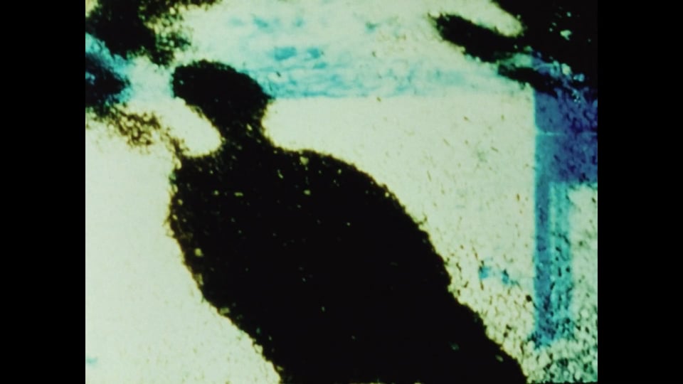 Sunprints 1,2,3