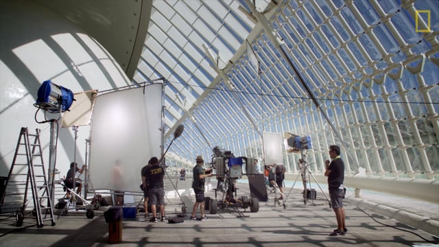 The Heart of the Cosmos